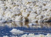 Viral Laut di Suramadu Berbusa Putih, Ini Klarifikasi DLH Surabaya