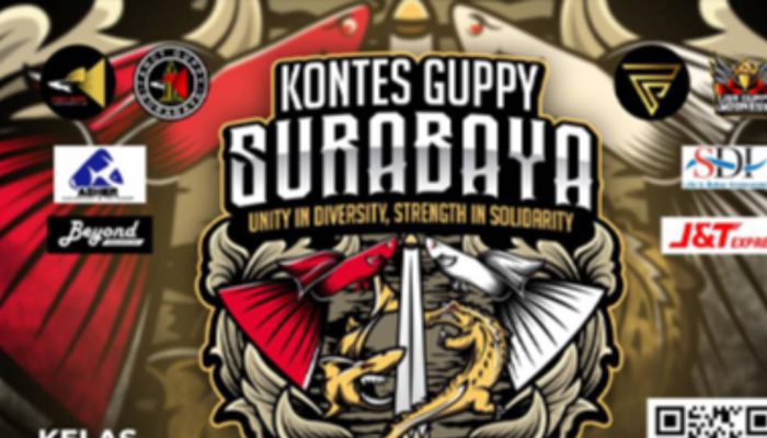 Ajang Guppy Nasional: Surabaya Siap Gelar Kompetisi Dua Hari Penuh Januari 2026