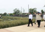 Prabowo Tegaskan Negara Harus Hadir di Pangan, Ekonom Ingatkan Risiko Distorsi