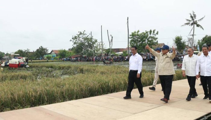 Prabowo Tegaskan Negara Harus Hadir di Pangan, Ekonom Ingatkan Risiko Distorsi