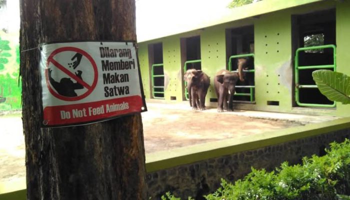 Kejati Jatim Usut Dugaan Korupsi Kebun Binatang Surabaya Selama Lebih dari Satu Dekade