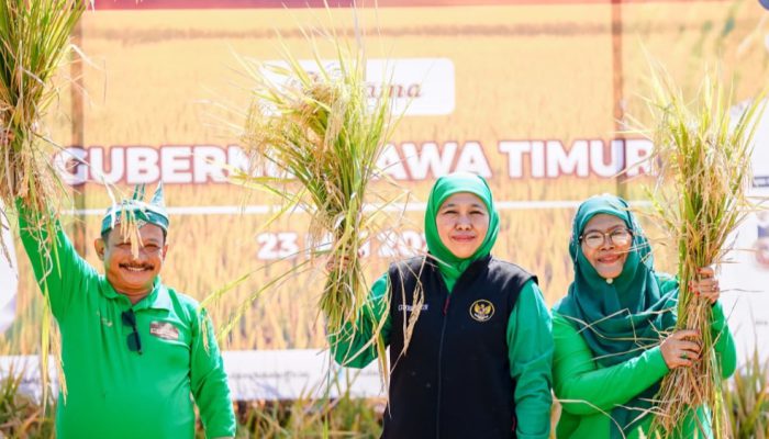 Gubernur Khofifah Minta Kepala Daerah Waspadai Kemarau 2026, Produksi Pertanian Harus Terjaga