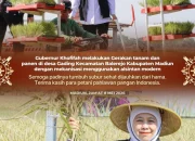 Gubernur Khofifah Targetkan Produksi Padi Jawa Timur Terus Tumbuh di 2026
