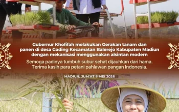 Gubernur Khofifah Targetkan Produksi Padi Jawa Timur Terus Tumbuh di 2026