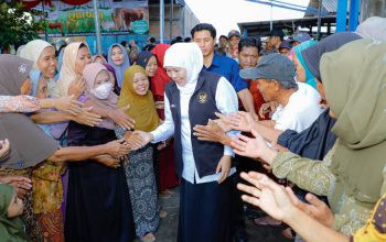 Gubernur Khofifah Pastikan Kurban Berkualitas, Pilih Sapi Super di Mojokerto