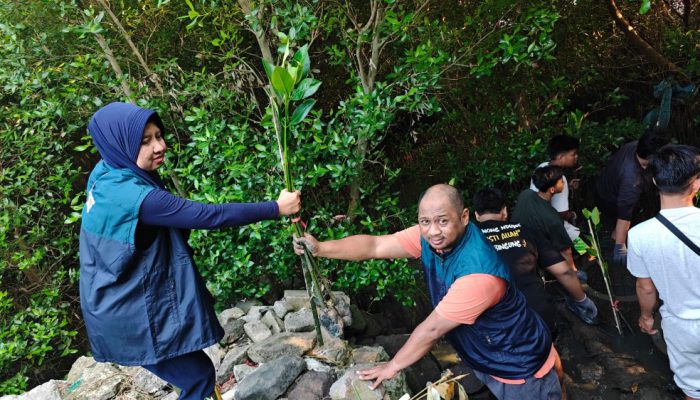 Penanaman Mangrove di Sontoh Laut Jadi Langkah Nyata TPS Jaga Ekosistem Laut