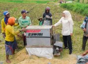 Potensi Produksi Padi Jatim Januari–Juli 2026 Tertinggi Nasional Capai 7,71 Juta Ton GKG, Gubernur Khofifah: Bukti Ketangguhan Petani dan Kuatnya Ekosistem Pertanian