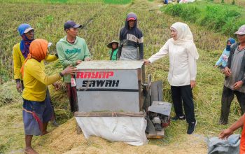 Potensi Produksi Padi Jatim Januari–Juli 2026 Tertinggi Nasional Capai 7,71 Juta Ton GKG, Gubernur Khofifah: Bukti Ketangguhan Petani dan Kuatnya Ekosistem Pertanian