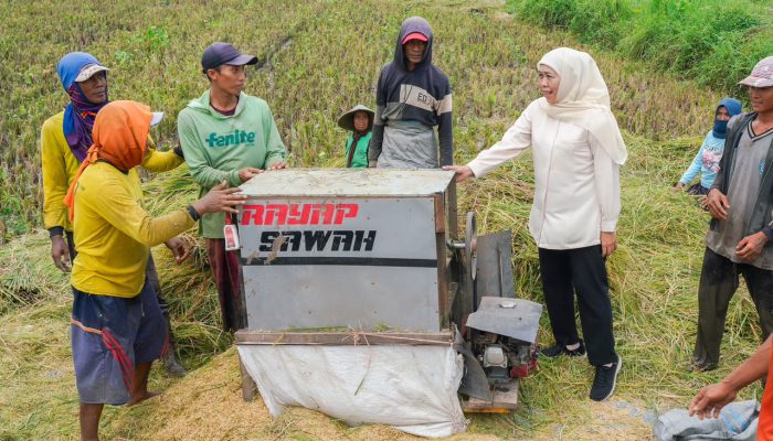 Potensi Produksi Padi Jatim Januari–Juli 2026 Tertinggi Nasional Capai 7,71 Juta Ton GKG, Gubernur Khofifah: Bukti Ketangguhan Petani dan Kuatnya Ekosistem Pertanian