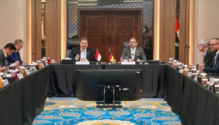 Jerman Perluas Investasi di Indonesia, Fokus Mineral Kritis dan Hilirisasi