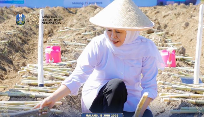 Gubernur Jawa Timur Tegaskan Komitmen Perkuat Ketahanan Pangan Lewat Panen dan Tanam Tebu Serentak