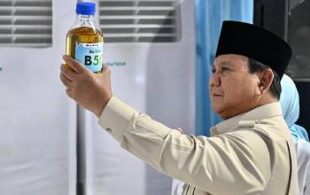 Prabowo Umumkan Temuan Potensi Emas Raksasa di Pegunungan Papua, BRIN Bergerak