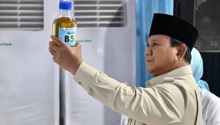 Prabowo Umumkan Temuan Potensi Emas Raksasa di Pegunungan Papua, BRIN Bergerak