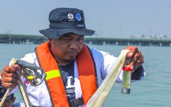 TTL Gandeng BRIN Petakan Biota Laut Teluk Lamong, Perkuat Implementasi ESG dan Pelestarian Ekosistem Pesisir