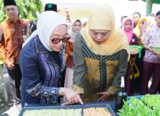 Gubernur Khofifah: Ketahanan Pangan Tak Harus dengan Lahan Luas, Sekolah dan Rumah Bisa Dimanfaatkan