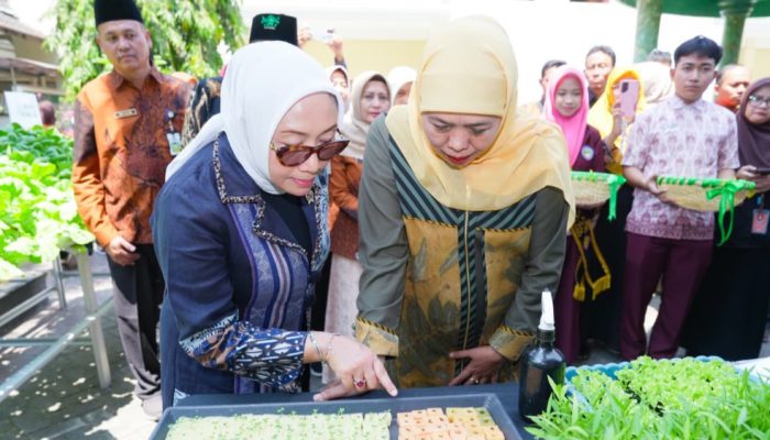 Gubernur Khofifah: Ketahanan Pangan Tak Harus dengan Lahan Luas, Sekolah dan Rumah Bisa Dimanfaatkan